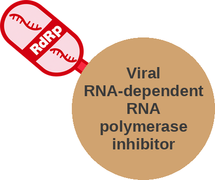 Viral RNA-dependent RNA polymerase inhibitor — mechanism peg (Ballicules)