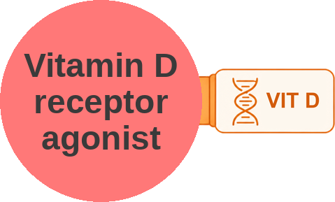 Vitamin D receptor agonist — mechanism peg (Ballicules)