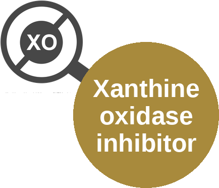 Xanthine oxidase inhibitor — mechanism peg (Ballicules)