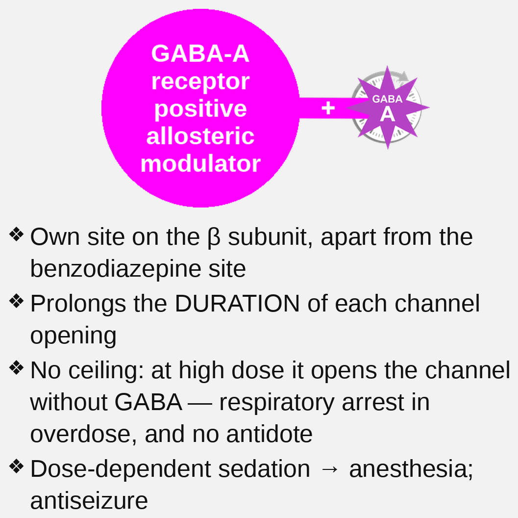 barbiturate site