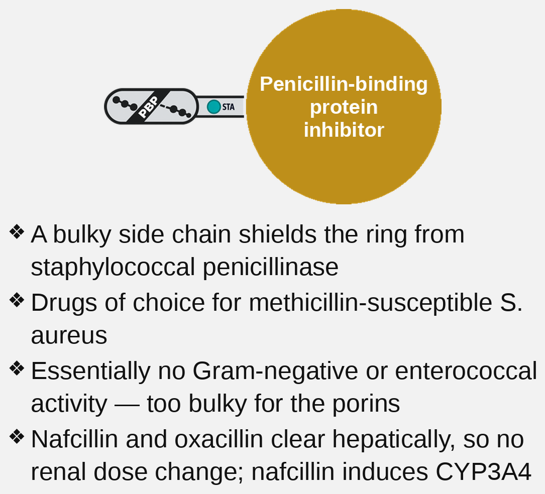penicillinase-stable (antistaphylococcal)