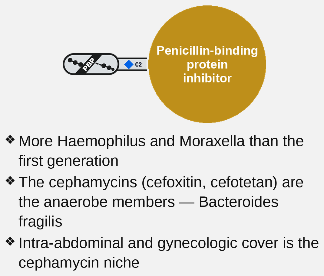 2nd-generation cephalosporin