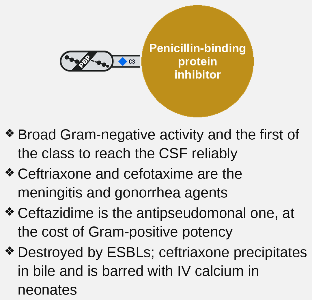 3rd-generation cephalosporin