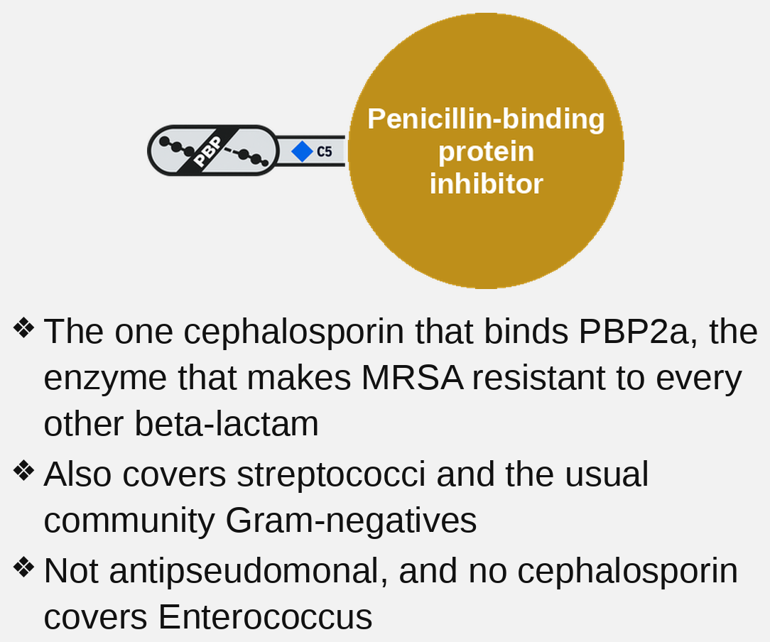 5th-generation cephalosporin (anti-MRSA)