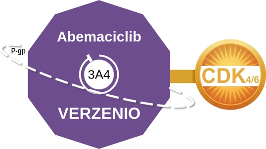 Abemaciclib ballicule — decagon diagram of its receptor and enzyme targets