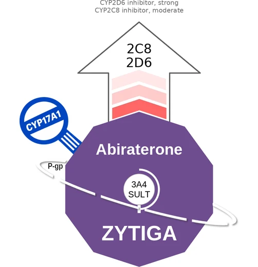 Abiraterone ballicule — decagon diagram of its receptor and enzyme targets