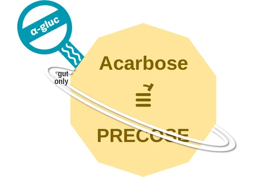 Acarbose ballicule — decagon diagram of its receptor and enzyme targets