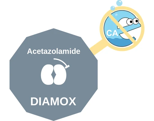 Acetazolamide ballicule — decagon diagram of its receptor and enzyme targets