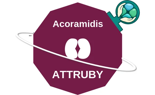 Acoramidis ballicule — decagon diagram of its receptor and enzyme targets