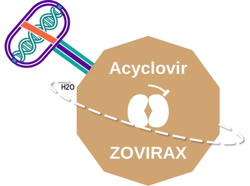 Acyclovir ballicule — decagon diagram of its receptor and enzyme targets