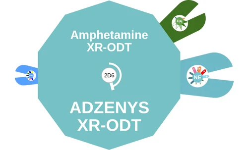 Amphetamine XR-ODT ballicule — decagon diagram of its receptor and enzyme targets