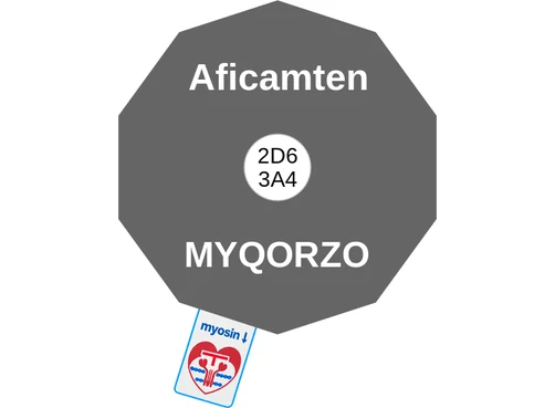 Aficamten ballicule — decagon diagram of its receptor and enzyme targets