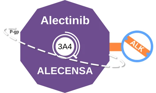 Alectinib ballicule — decagon diagram of its receptor and enzyme targets
