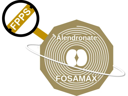 Alendronate ballicule — decagon diagram of its receptor and enzyme targets