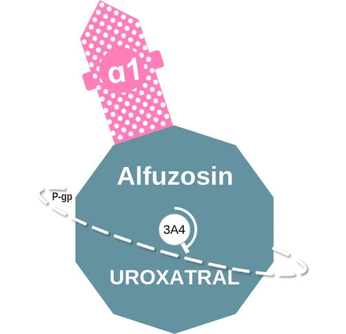 Alfuzosin ballicule — decagon diagram of its receptor and enzyme targets
