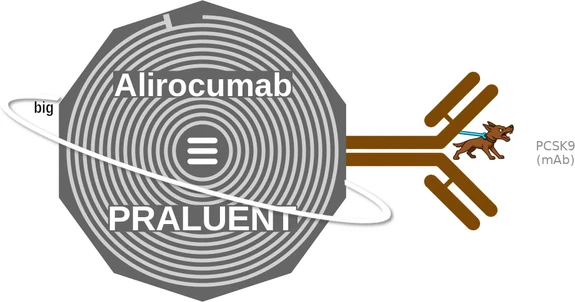 Alirocumab ballicule — decagon diagram of its receptor and enzyme targets