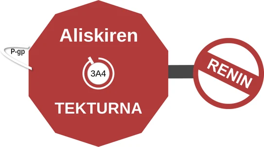 Aliskiren ballicule — decagon diagram of its receptor and enzyme targets