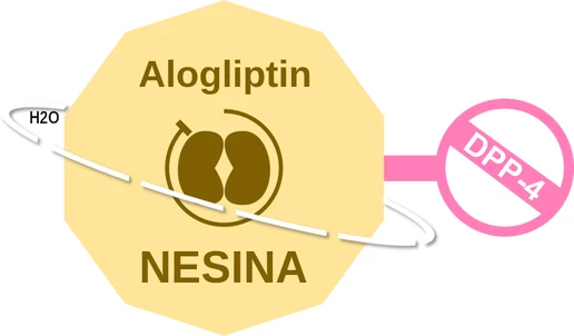 Alogliptin ballicule — decagon diagram of its receptor and enzyme targets