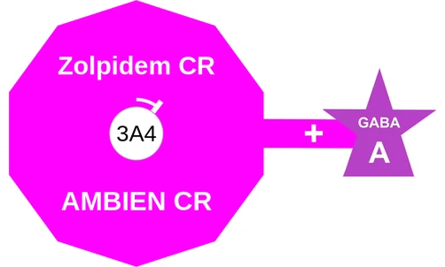 Zolpidem CR ballicule — decagon diagram of its receptor and enzyme targets