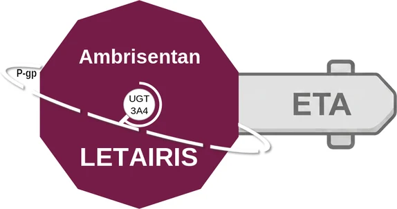 Ambrisentan ballicule — decagon diagram of its receptor and enzyme targets