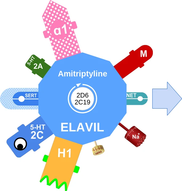 Amitriptyline ballicule — decagon diagram of its receptor and enzyme targets