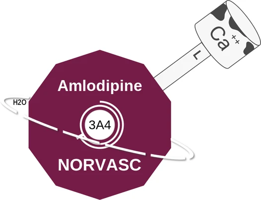 Amlodipine ballicule — decagon diagram of its receptor and enzyme targets