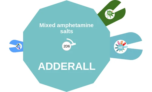 Mixed amphetamine salts ballicule — decagon diagram of its receptor and enzyme targets