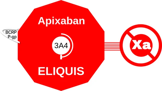 Apixaban ballicule — decagon diagram of its receptor and enzyme targets