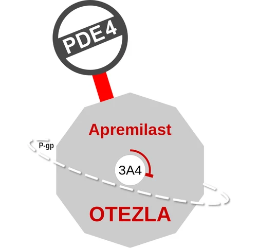 Apremilast ballicule — decagon diagram of its receptor and enzyme targets