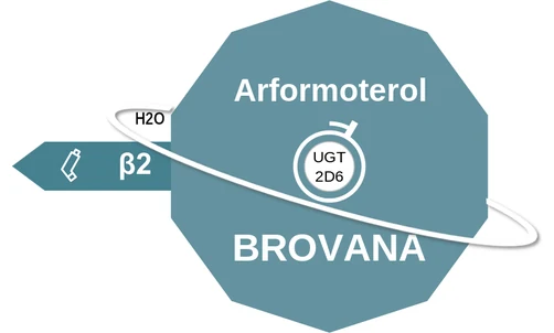 Arformoterol ballicule — decagon diagram of its receptor and enzyme targets