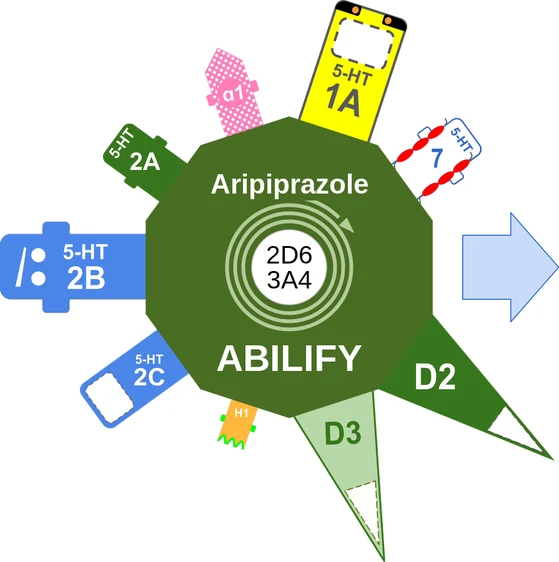 Aripiprazole ballicule — decagon diagram of its receptor and enzyme targets