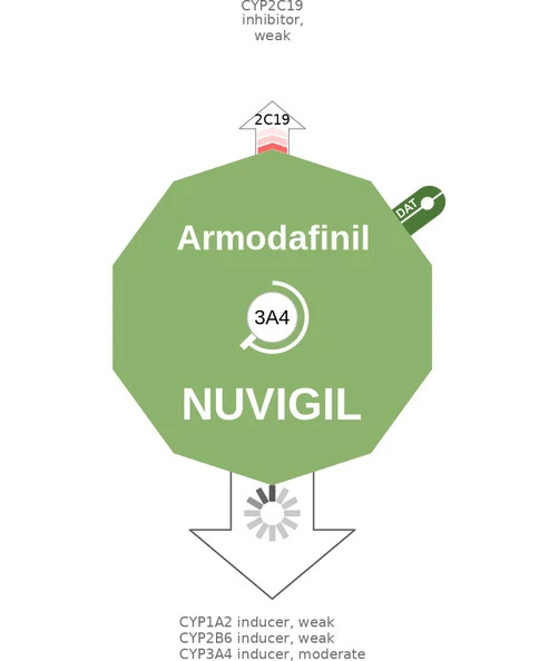 Armodafinil ballicule — decagon diagram of its receptor and enzyme targets