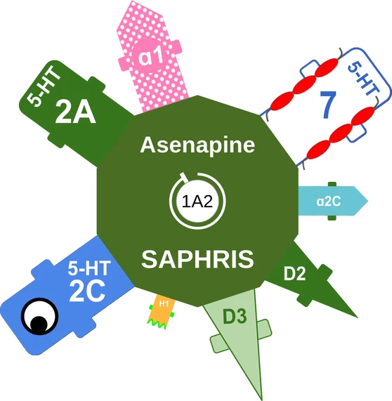 Asenapine ballicule — decagon diagram of its receptor and enzyme targets