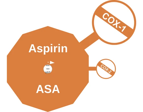 Aspirin ballicule — decagon diagram of its receptor and enzyme targets