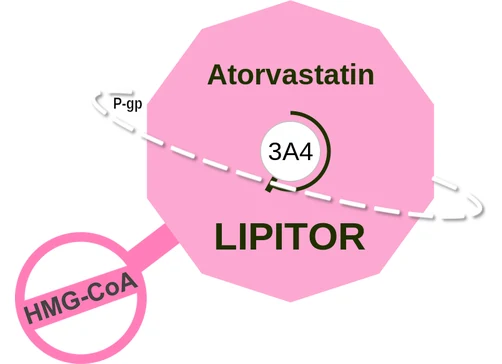 Atorvastatin ballicule — decagon diagram of its receptor and enzyme targets