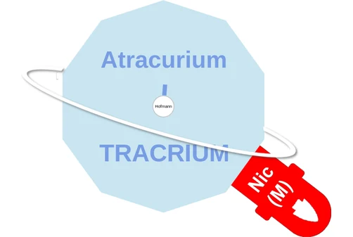 Atracurium ballicule — decagon diagram of its receptor and enzyme targets