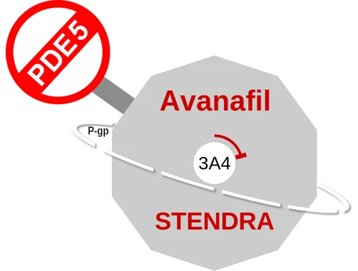 Avanafil ballicule — decagon diagram of its receptor and enzyme targets