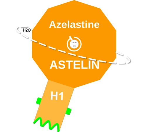 Azelastine ballicule — decagon diagram of its receptor and enzyme targets