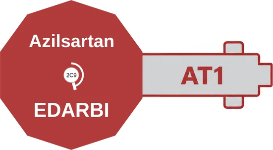 Azilsartan ballicule — decagon diagram of its receptor and enzyme targets
