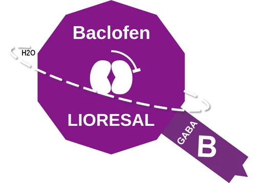 Baclofen ballicule — decagon diagram of its receptor and enzyme targets