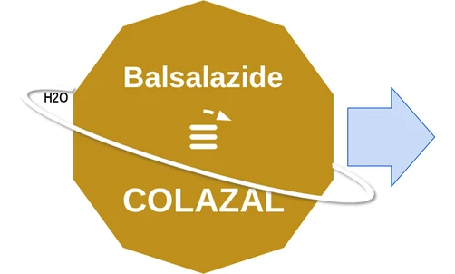 Balsalazide ballicule — decagon diagram of its receptor and enzyme targets