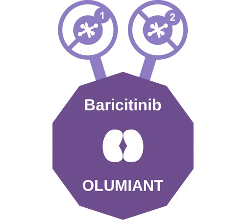 Baricitinib ballicule — decagon mechanism diagram