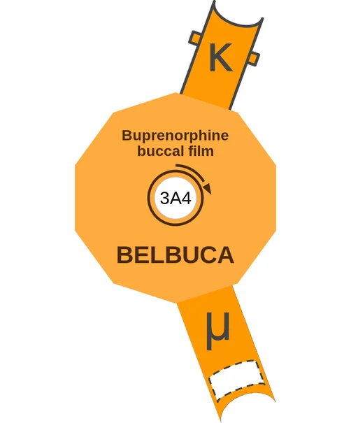 Buprenorphine buccal film ballicule — decagon diagram of its receptor and enzyme targets
