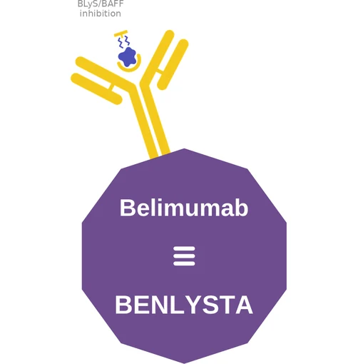 Belimumab ballicule — decagon diagram of its receptor and enzyme targets