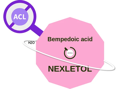 Bempedoic acid ballicule — decagon diagram of its receptor and enzyme targets