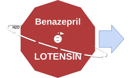 Benazepril ballicule — decagon diagram of its receptor and enzyme targets