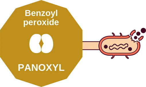 Benzoyl peroxide ballicule — decagon diagram of its receptor and enzyme targets