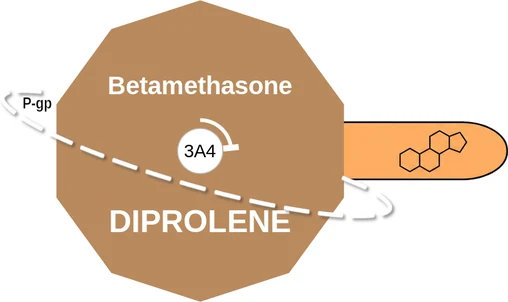 Betamethasone ballicule — decagon diagram of its receptor and enzyme targets