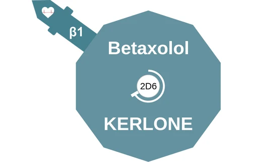 Betaxolol ballicule — decagon diagram of its receptor and enzyme targets