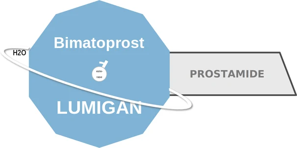 Bimatoprost ballicule — decagon diagram of its receptor and enzyme targets